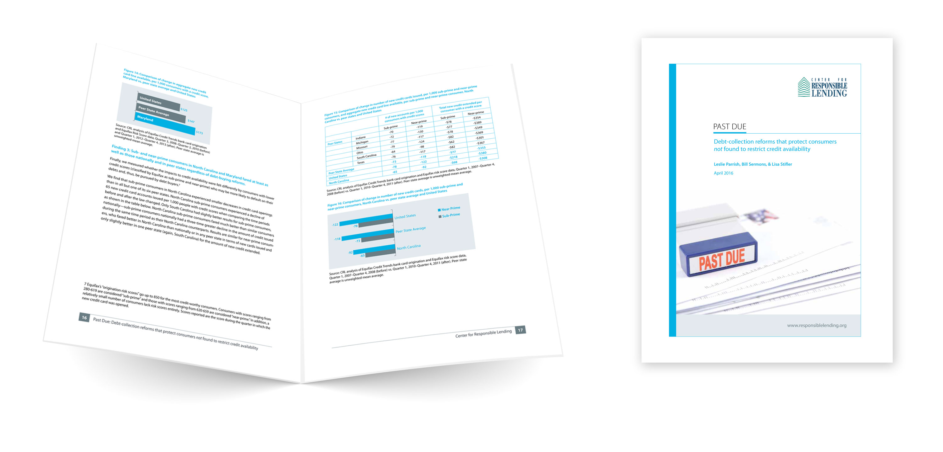 Debt Collection Reform Report Sample